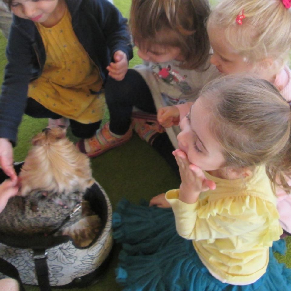 Grandparents workshop