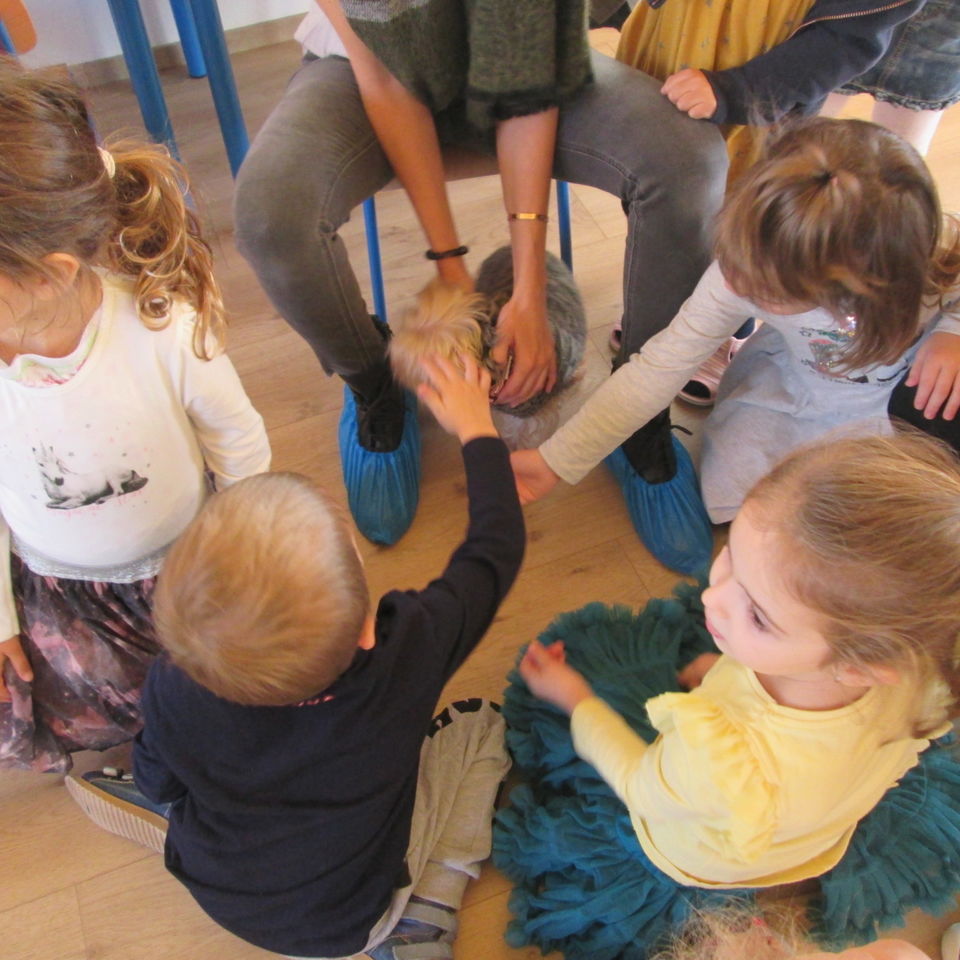 Grandparents workshop