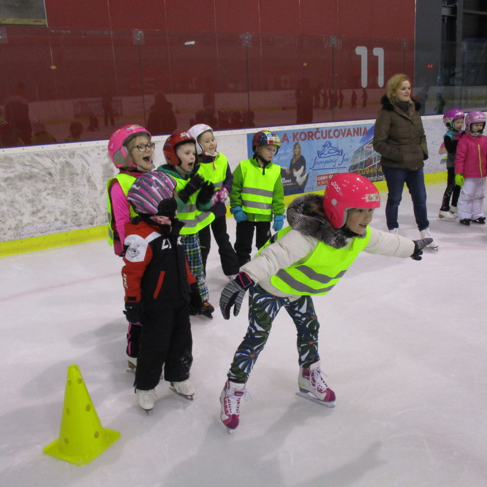 Ice Skating Course