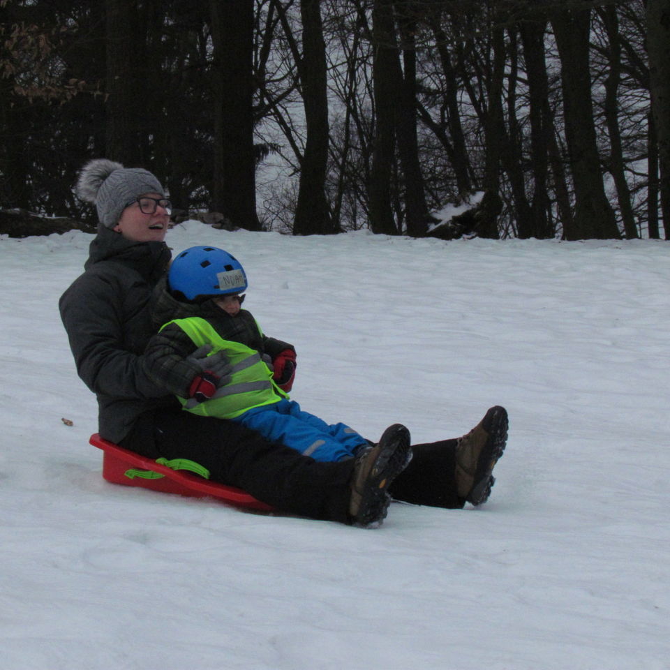 Sledging