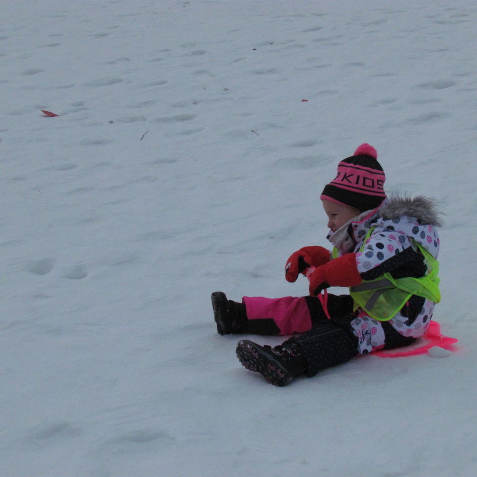 Sledging