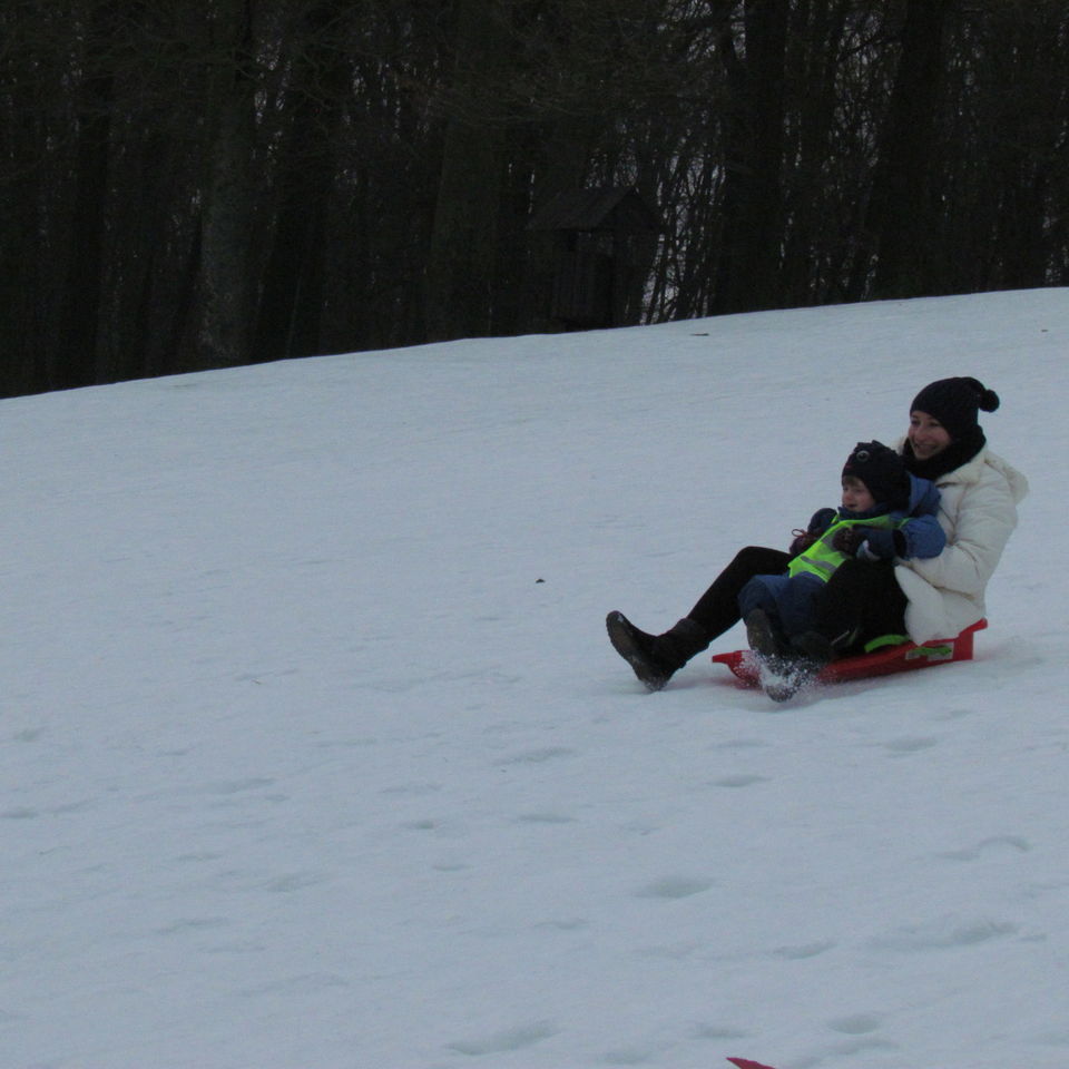 Sledging