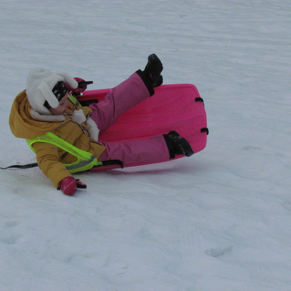 Sledging