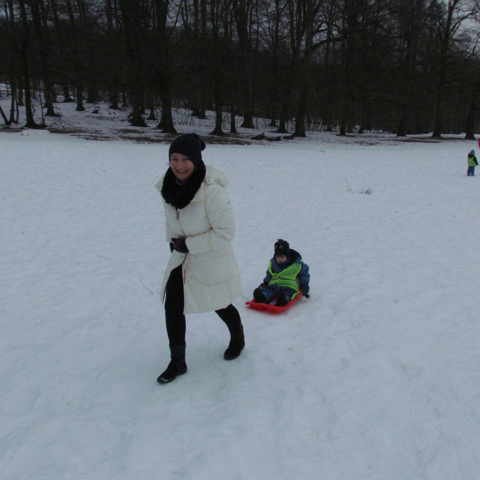 Sledging
