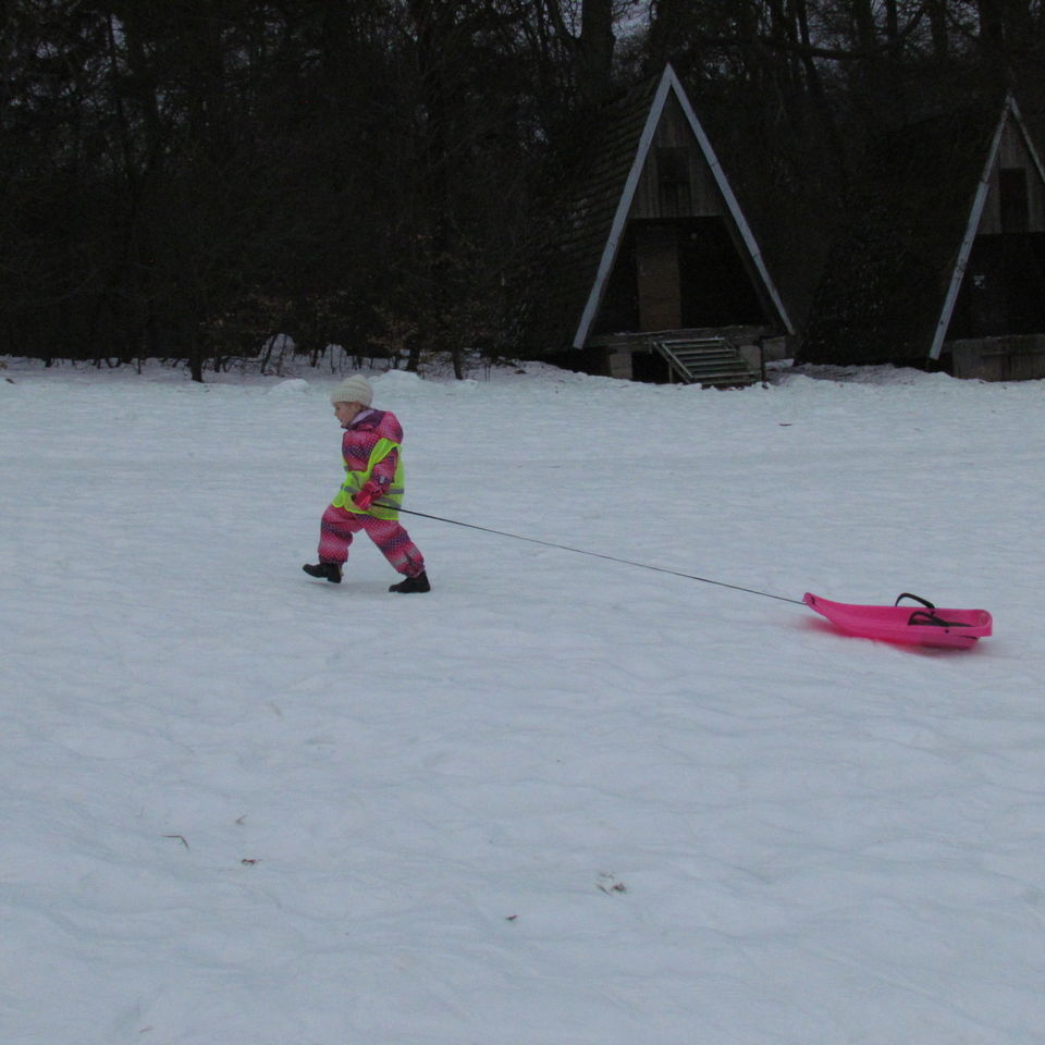 Sledging