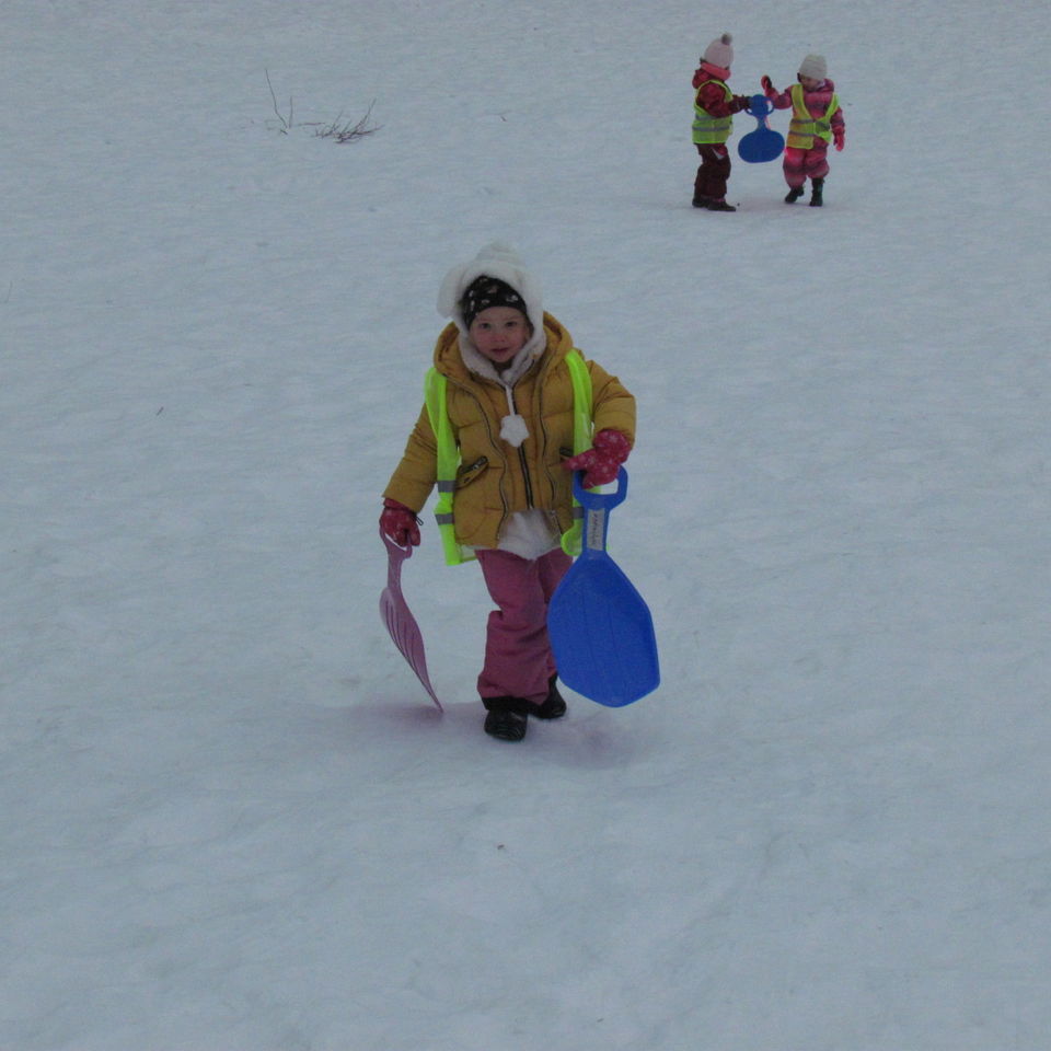 Sledging