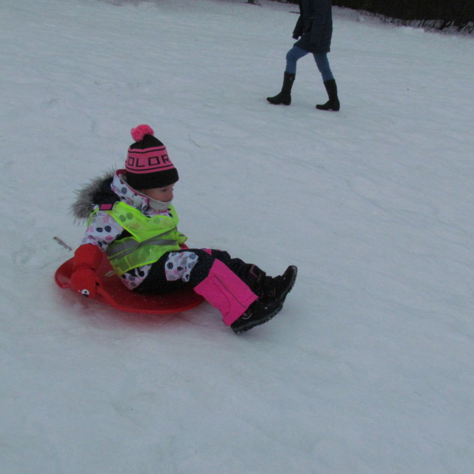 Sledging