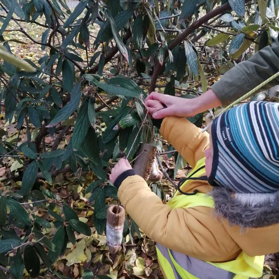 A Week of Good Deeds