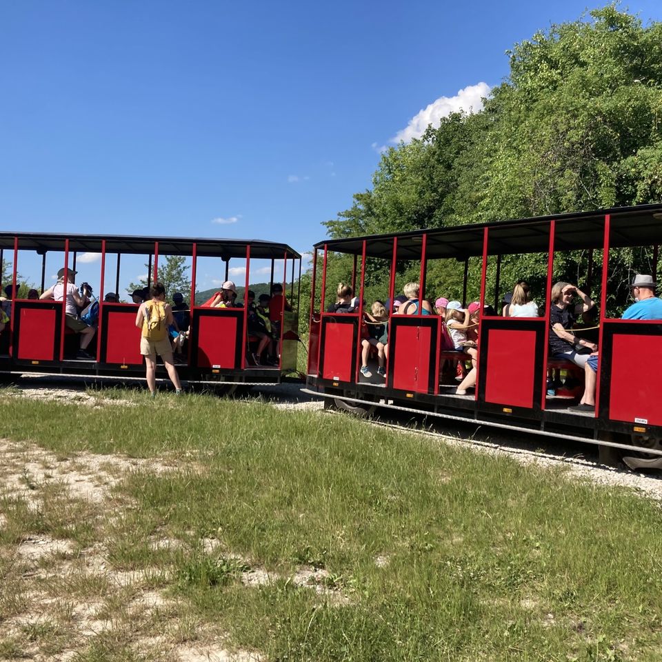 Sleepover and Trip Y1