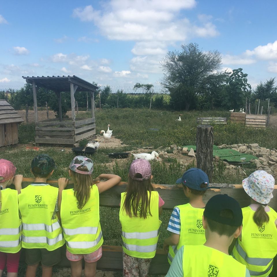 Sleepover and Trip Y1