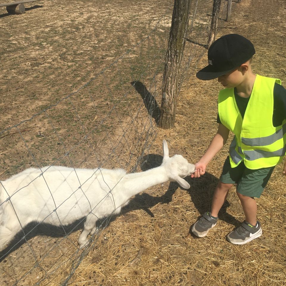 Sleepover and Trip Y1