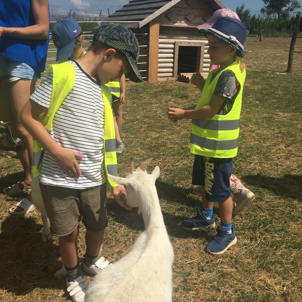 Sleepover and Trip Y1