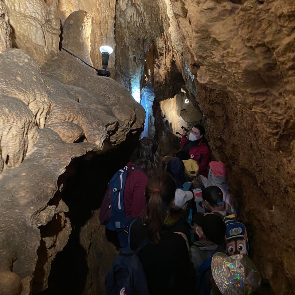 Sleepover and Trip Y1