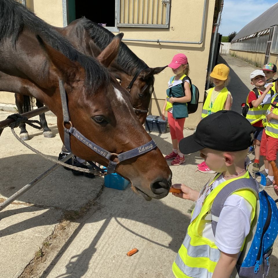 Sleepover and Trip Y1