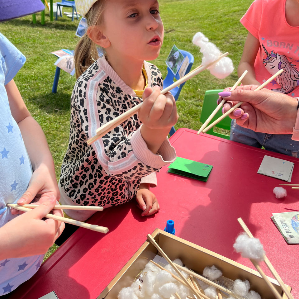 Around the World in 5 days