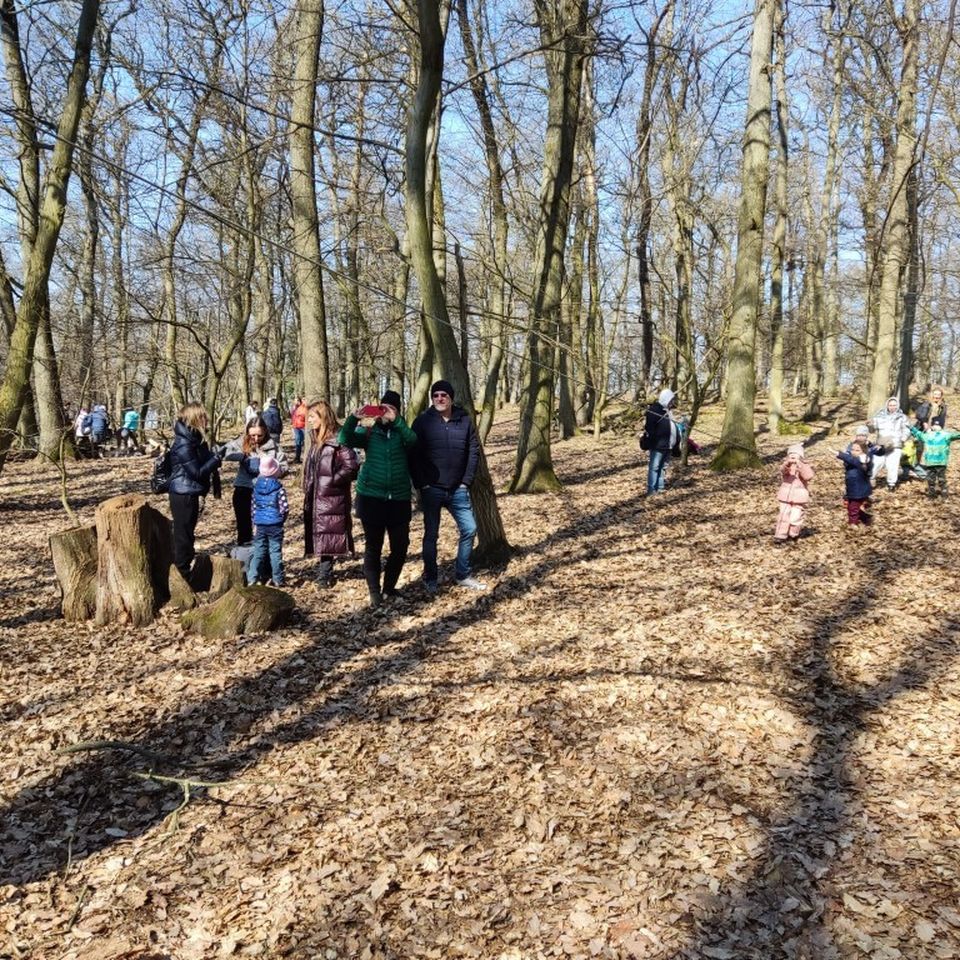 Forest School with CIS