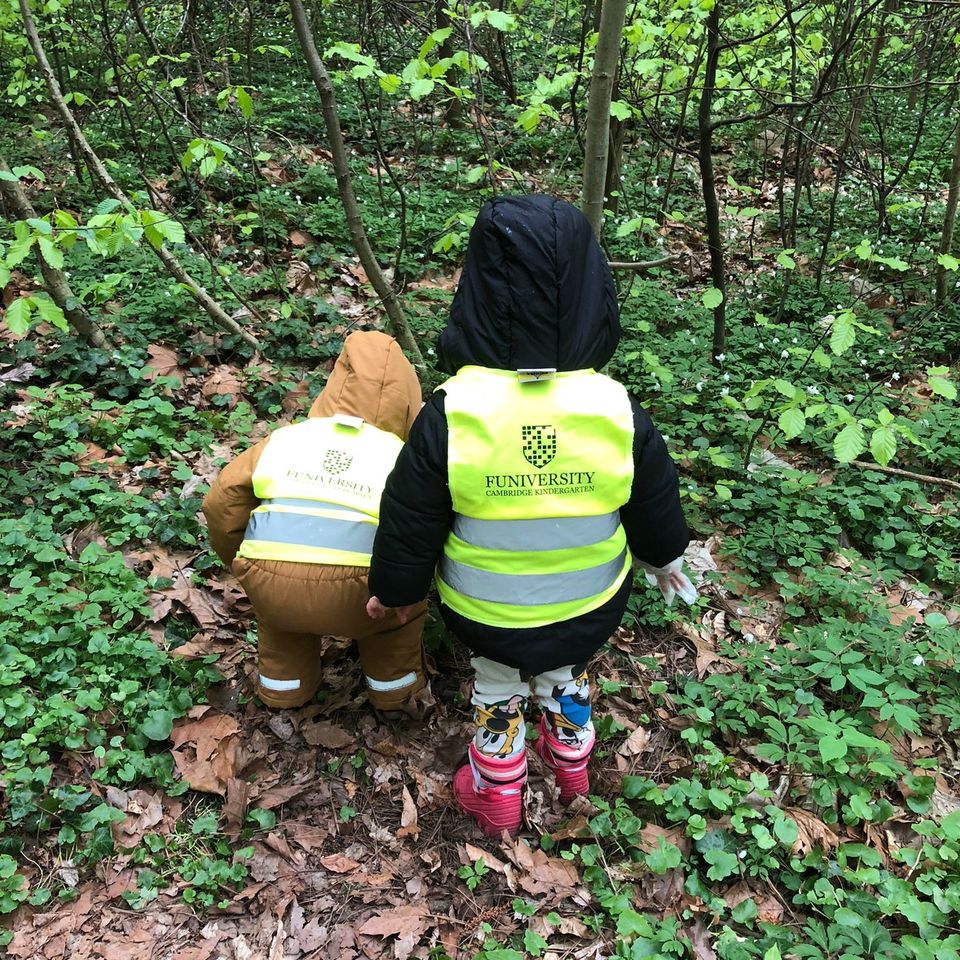 Let's Save the World