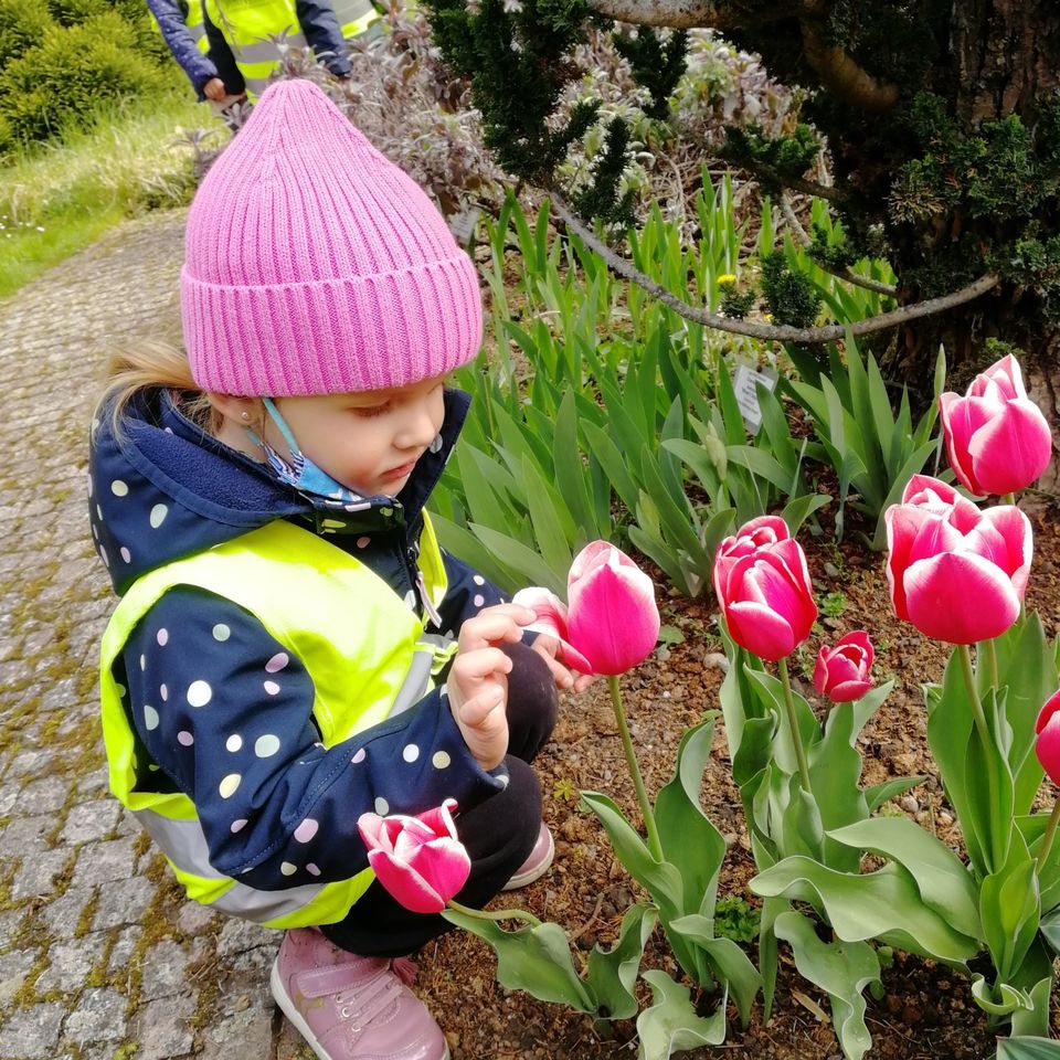 Life is full of Beauty