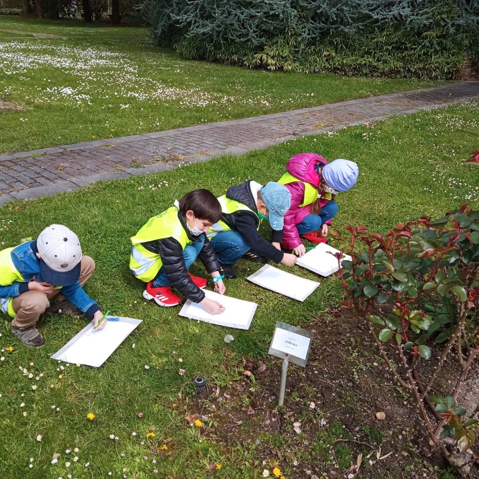 Life is full of Beauty