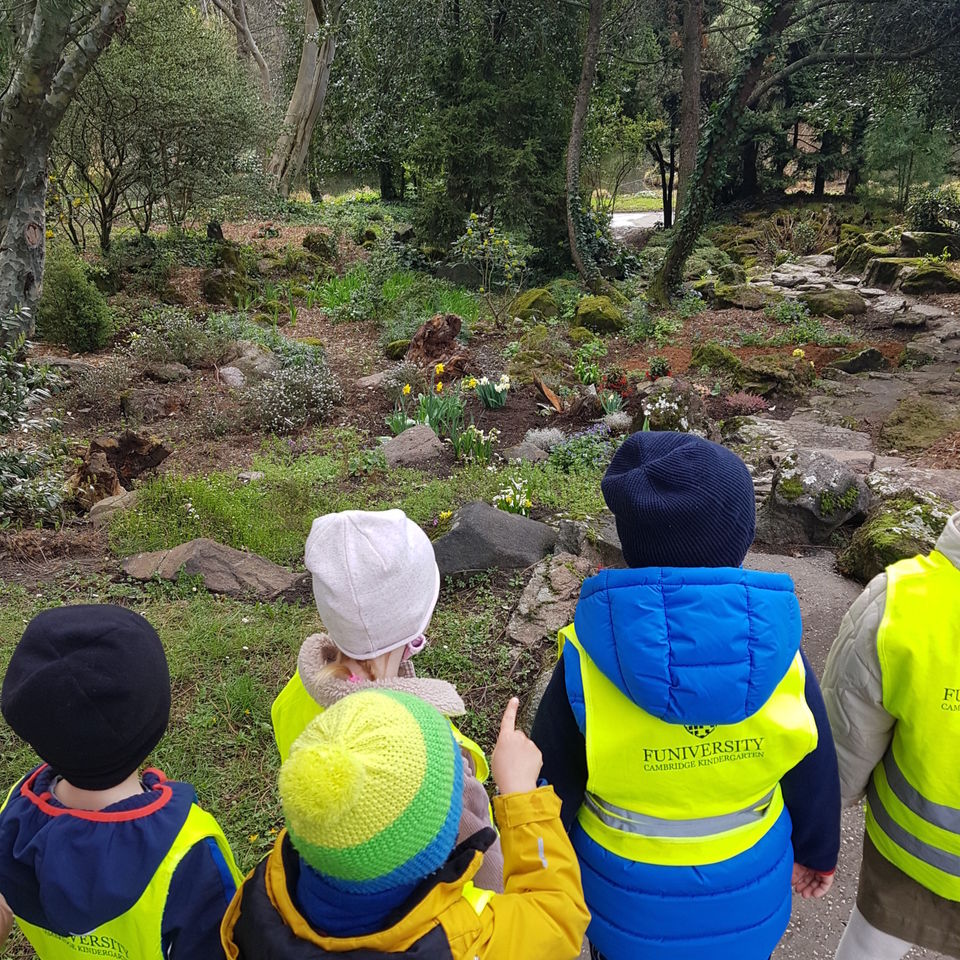 Life is full of Beauty