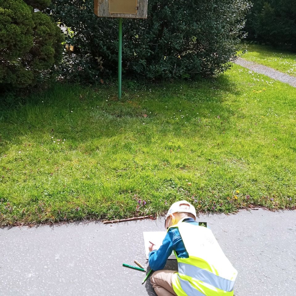 Life is full of Beauty