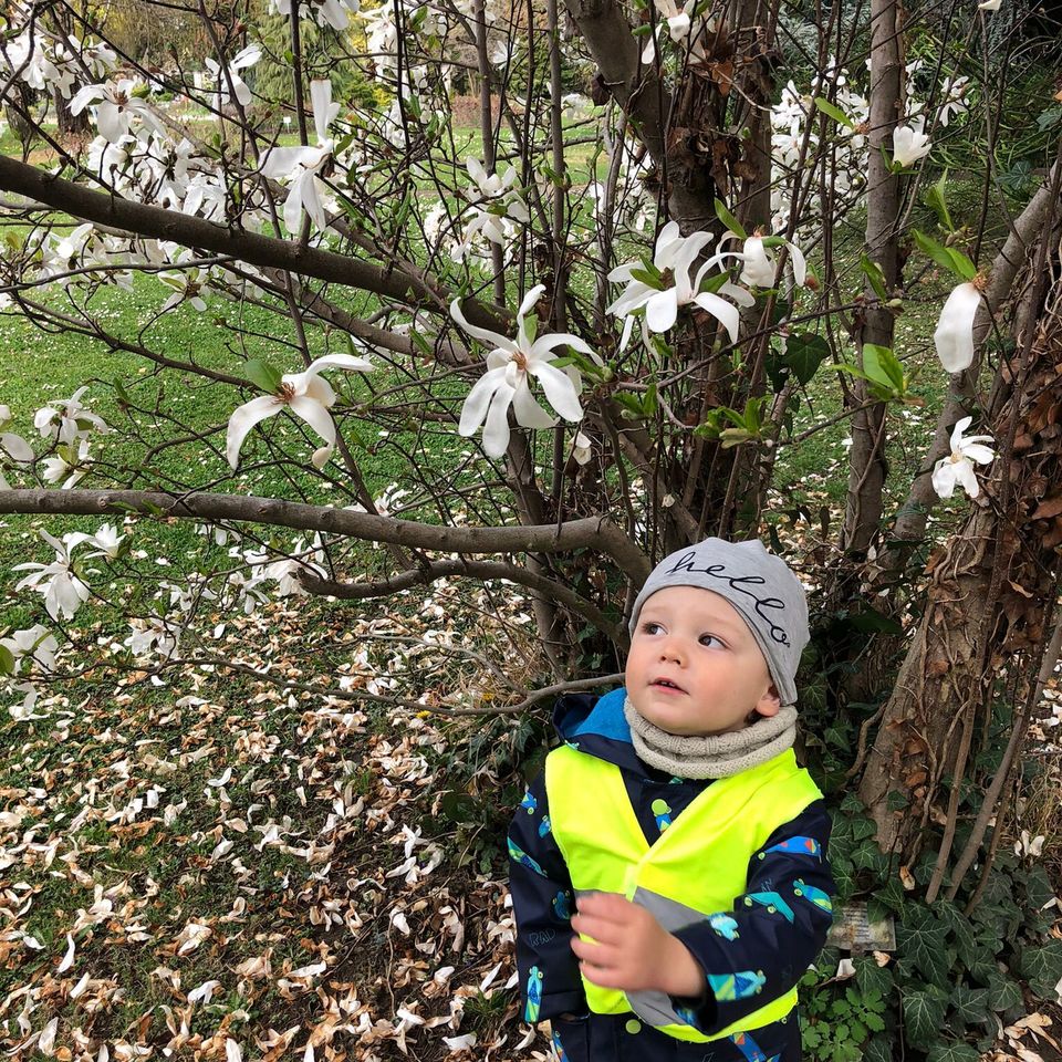 Life is full of Beauty