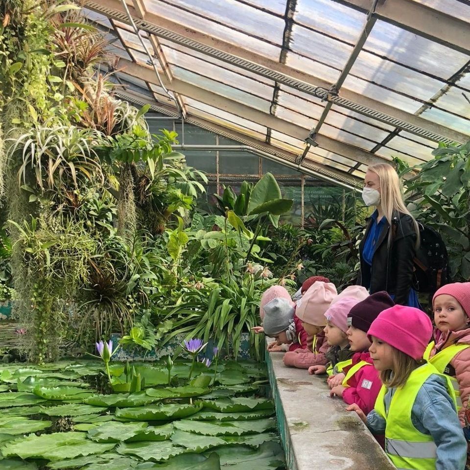 Life is full of Beauty