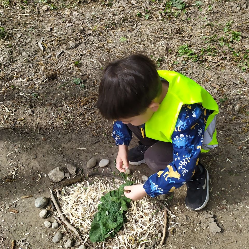 Life is full of Beauty