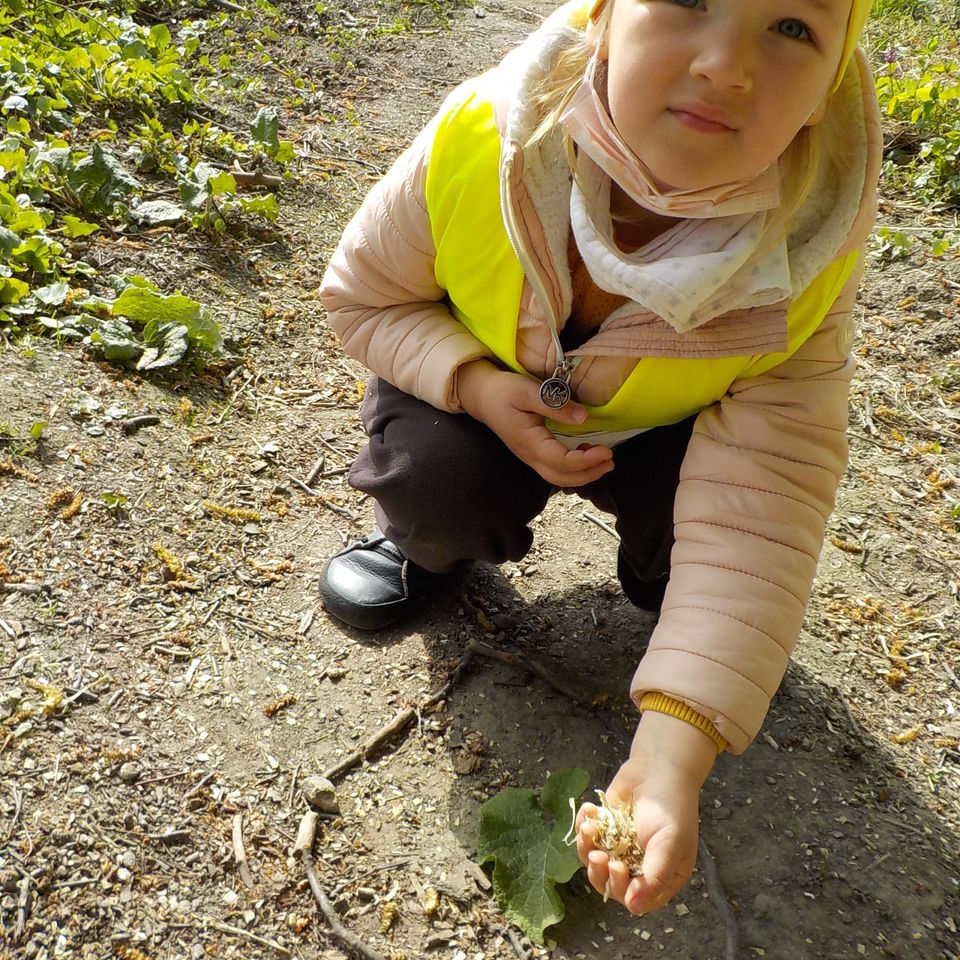 Life is full of Beauty