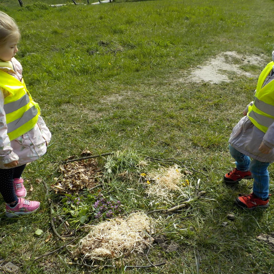 Life is full of Beauty