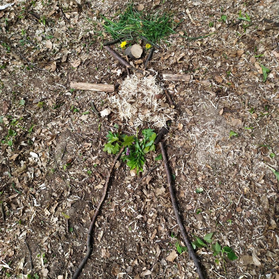 Life is full of Beauty