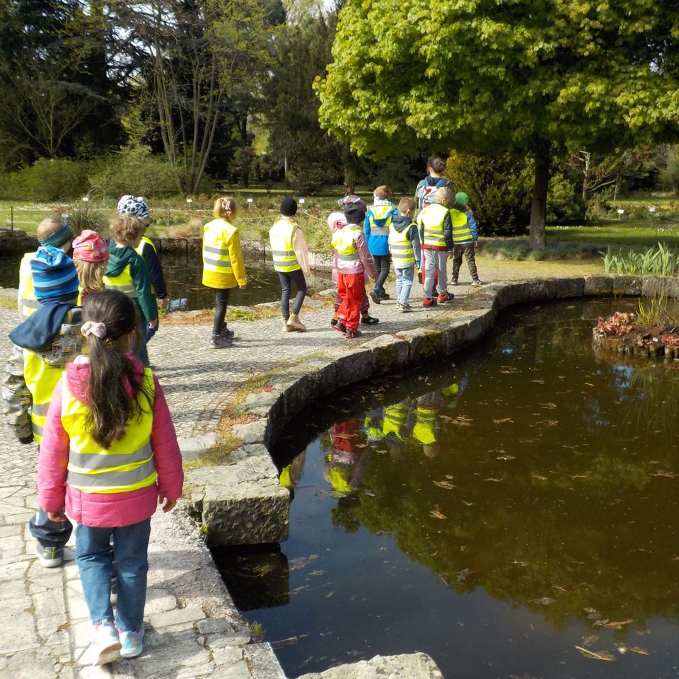 Life is full of Beauty