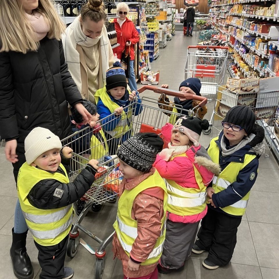 Shopping and Cooking