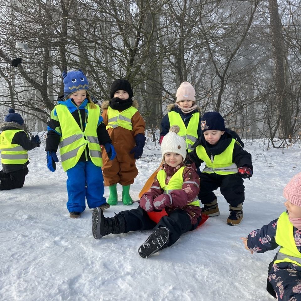Sledging