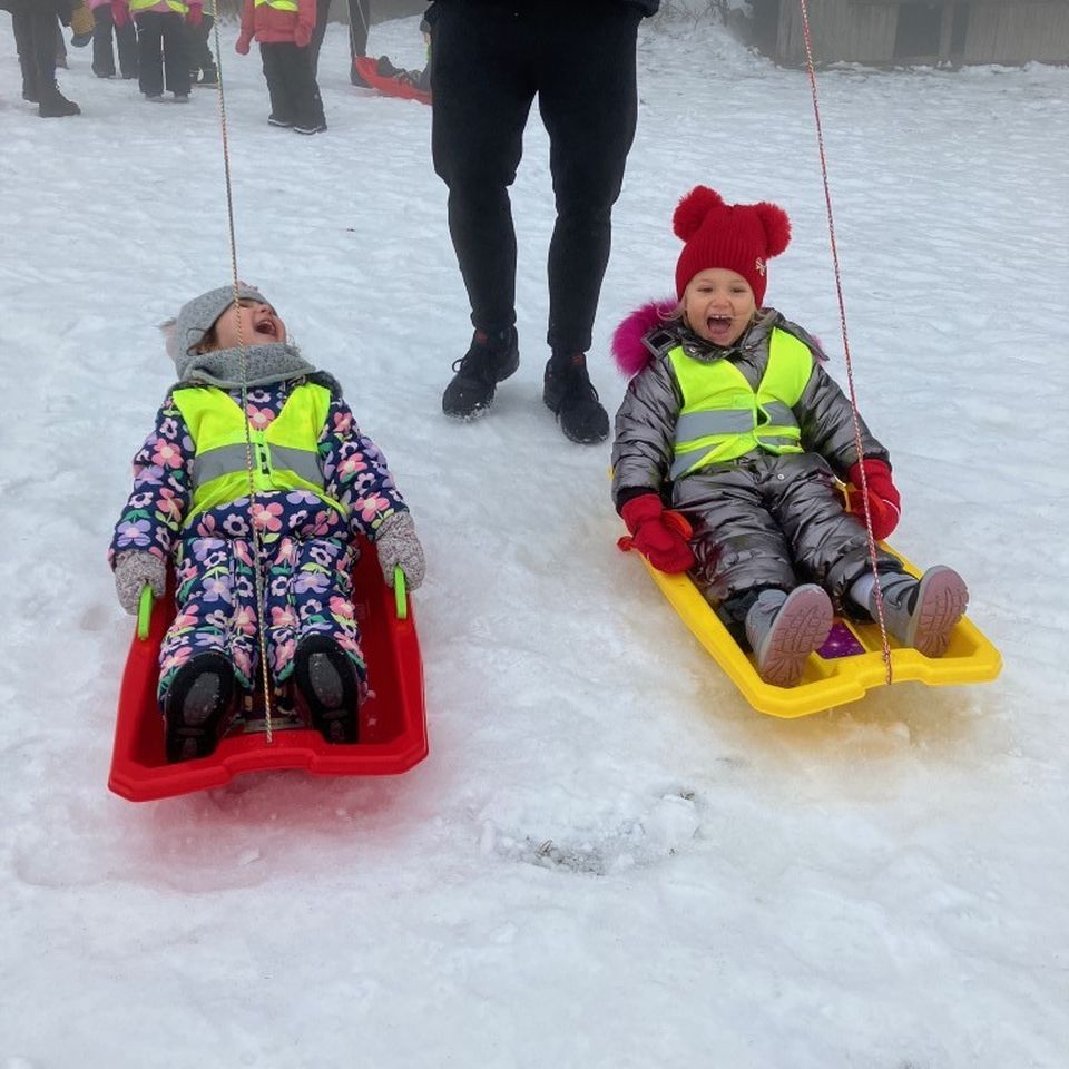 Sledging