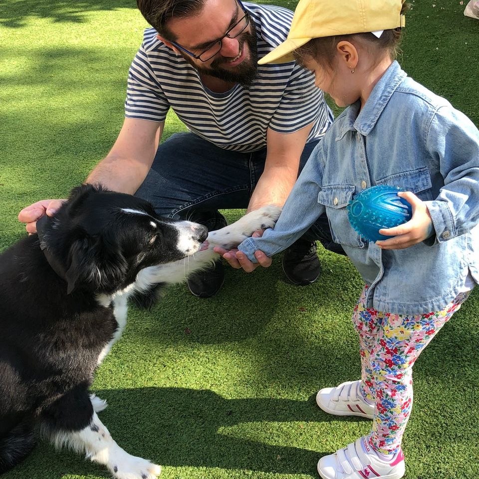 World of Work - Parents teaching