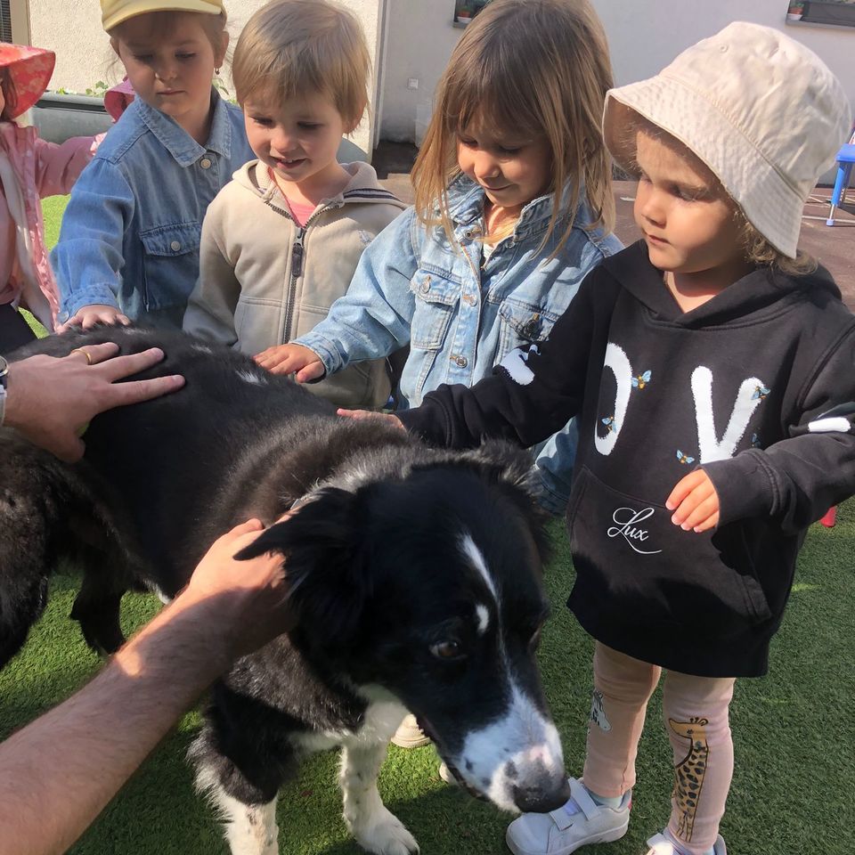 World of Work - Parents teaching