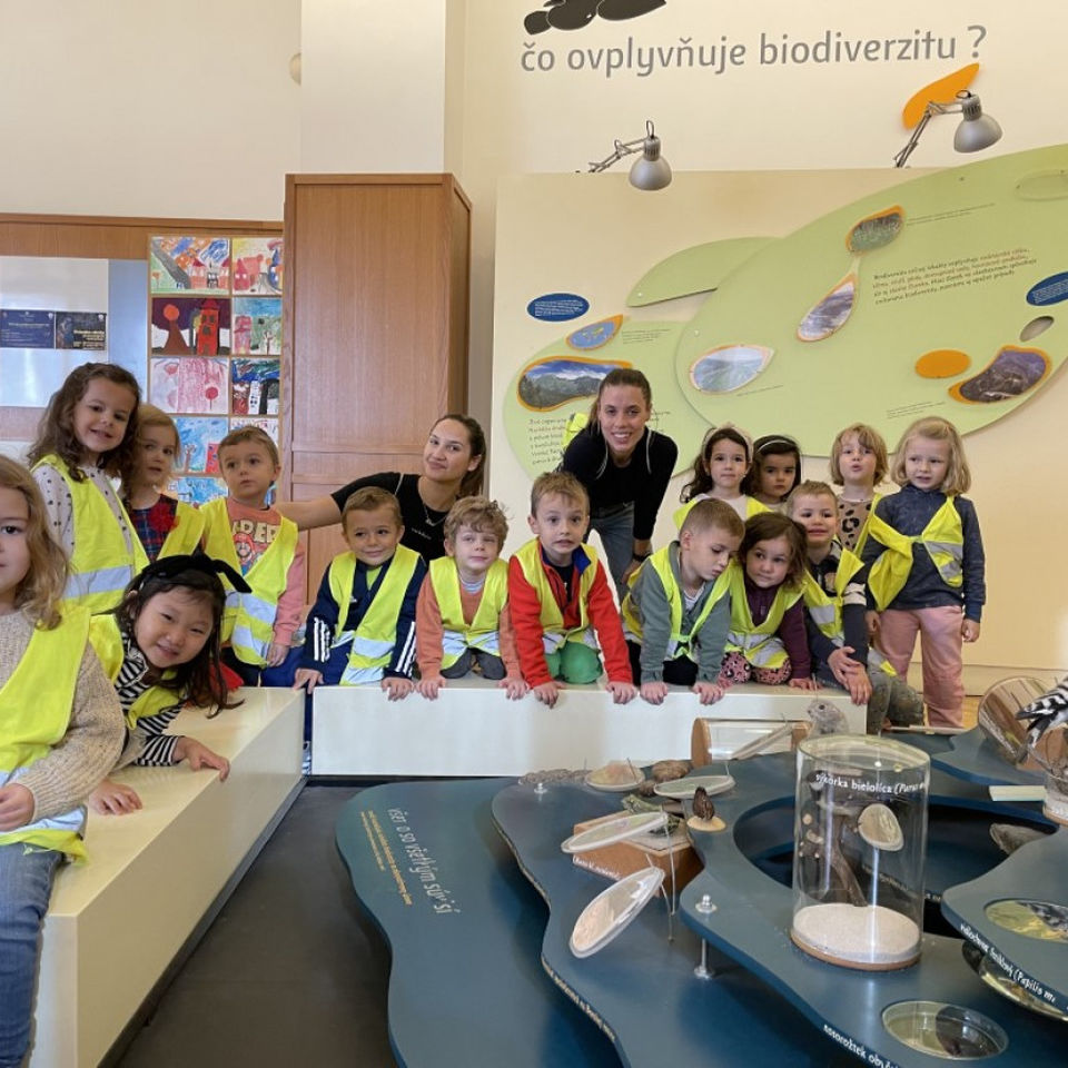 Dinosaur Trip to Museum