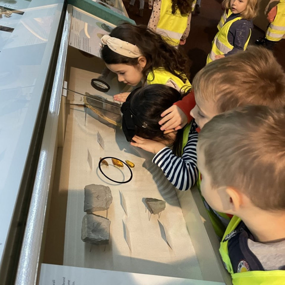 Dinosaur Trip to Museum