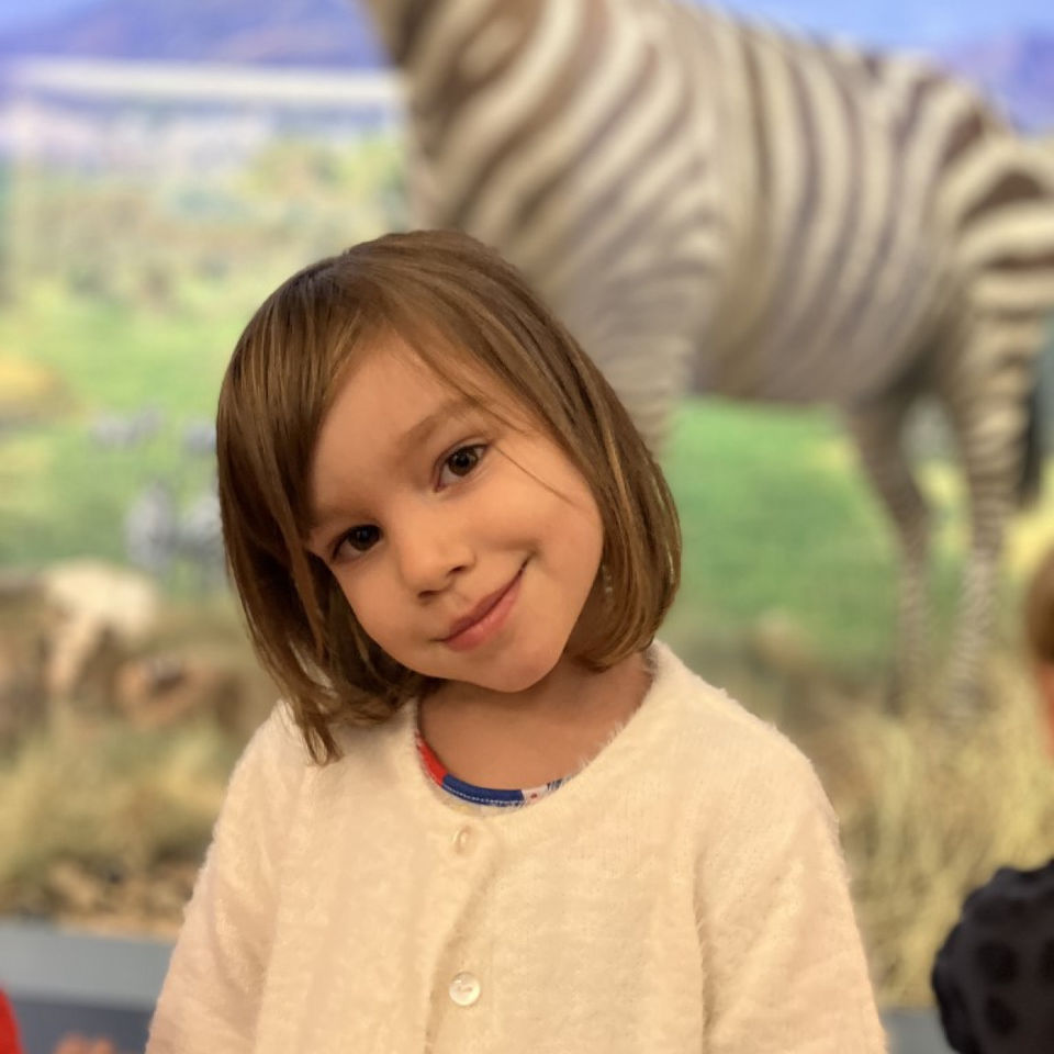 Dinosaur Trip to Museum