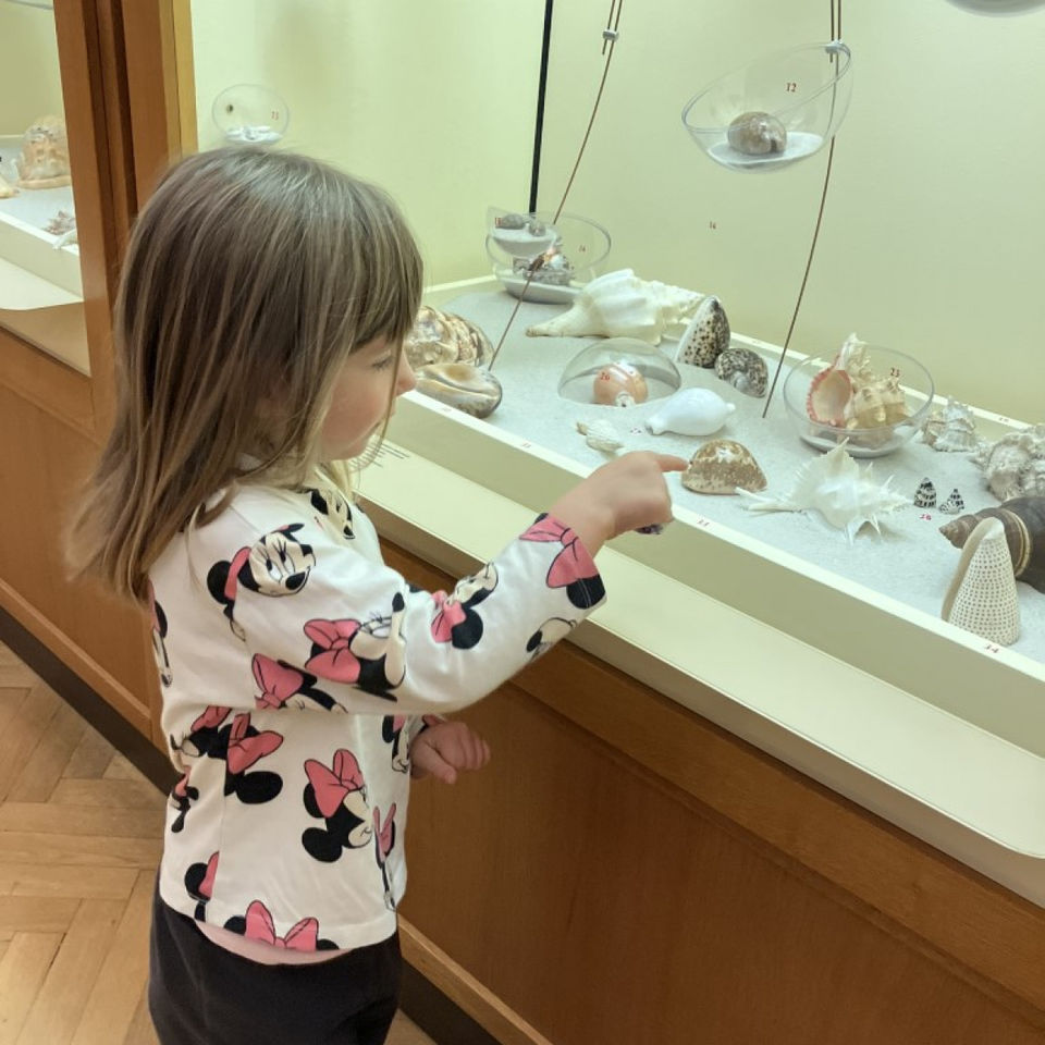 Dinosaur Trip to Museum