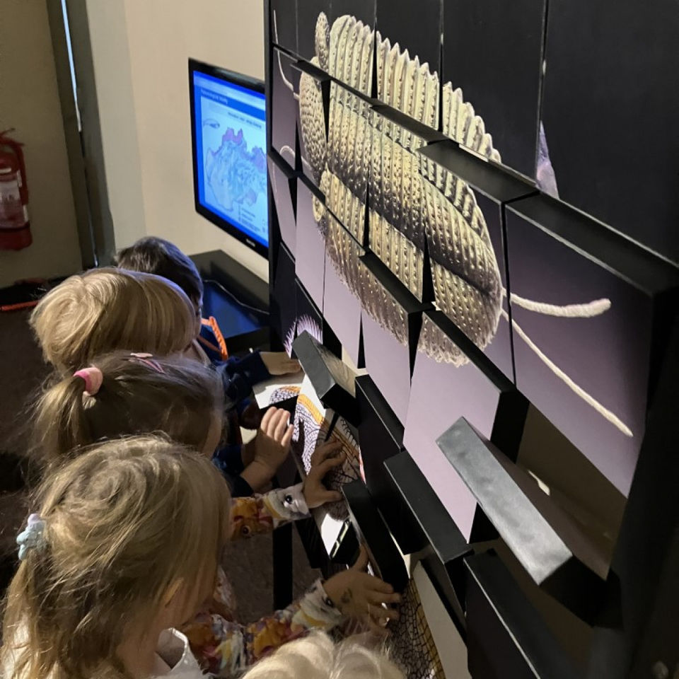 Dinosaur Trip to Museum