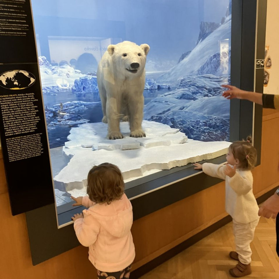 Dinosaur Trip to Museum