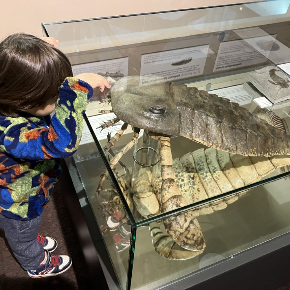 Dinosaur Trip to Museum