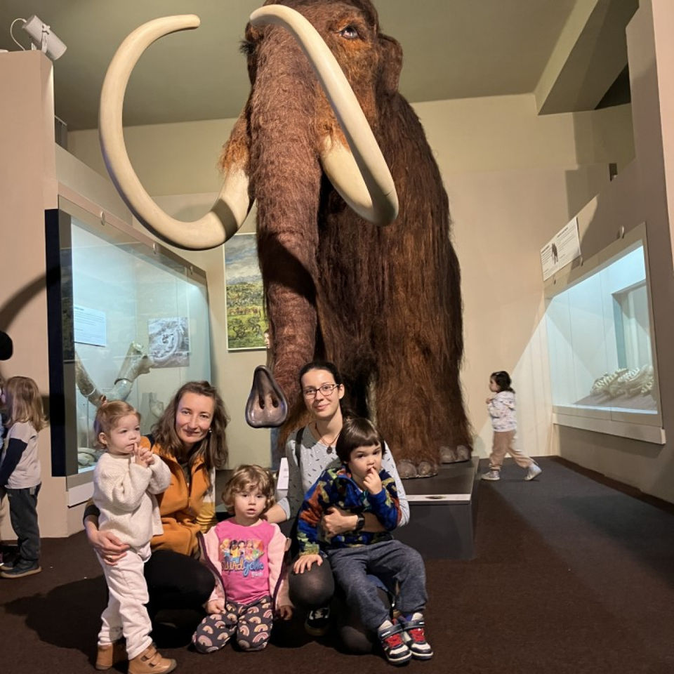 Dinosaur Trip to Museum