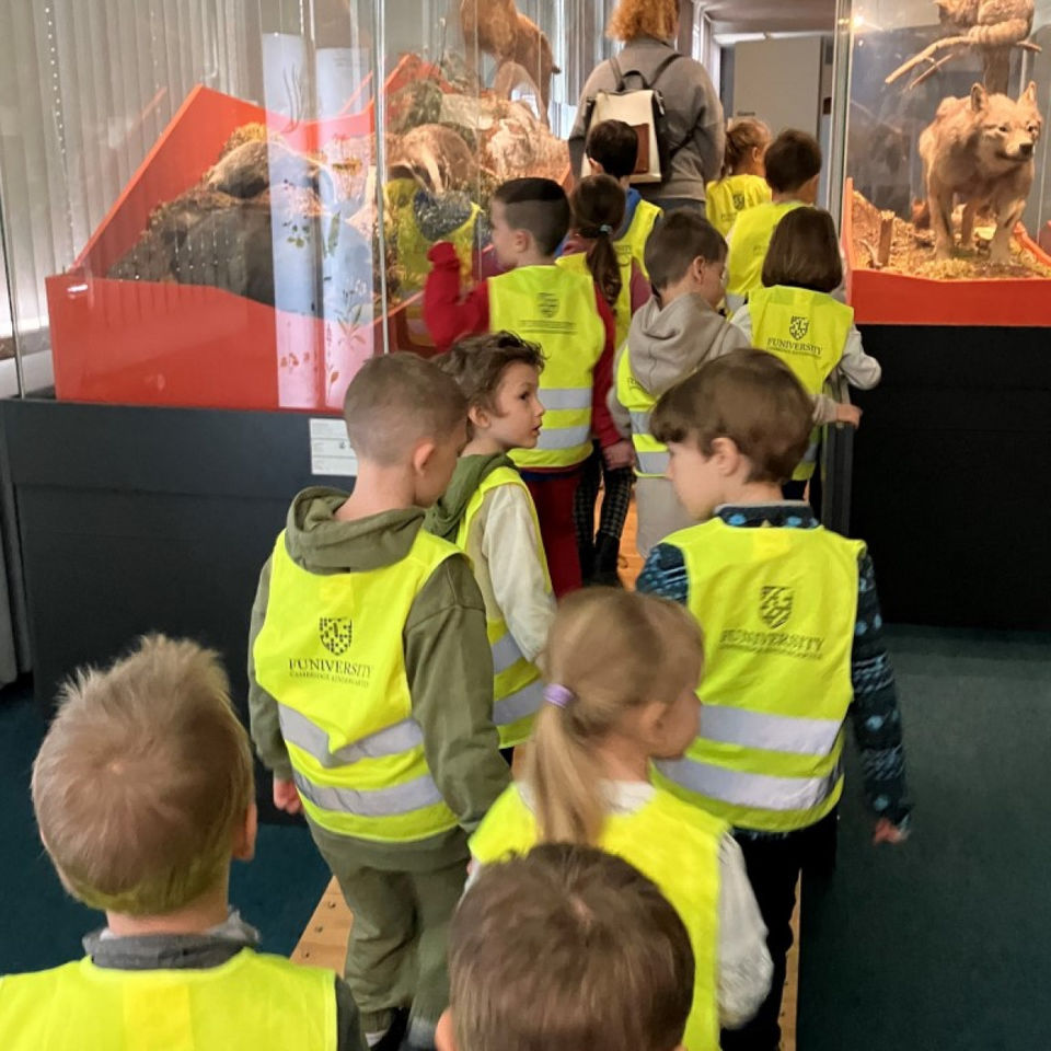 Dinosaur Trip to Museum