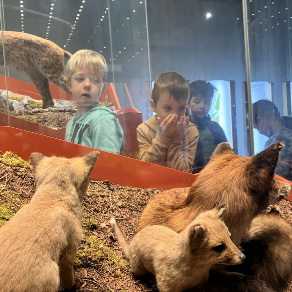 Dinosaur Trip to Museum