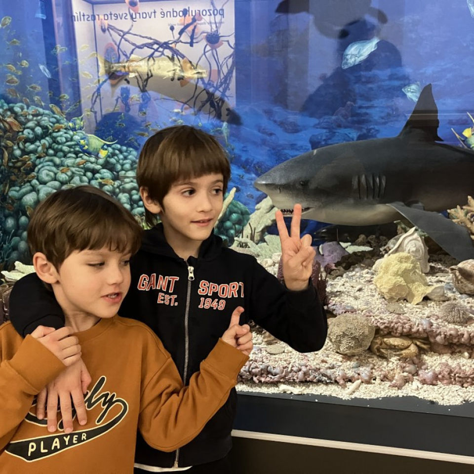 Dinosaur Trip to Museum