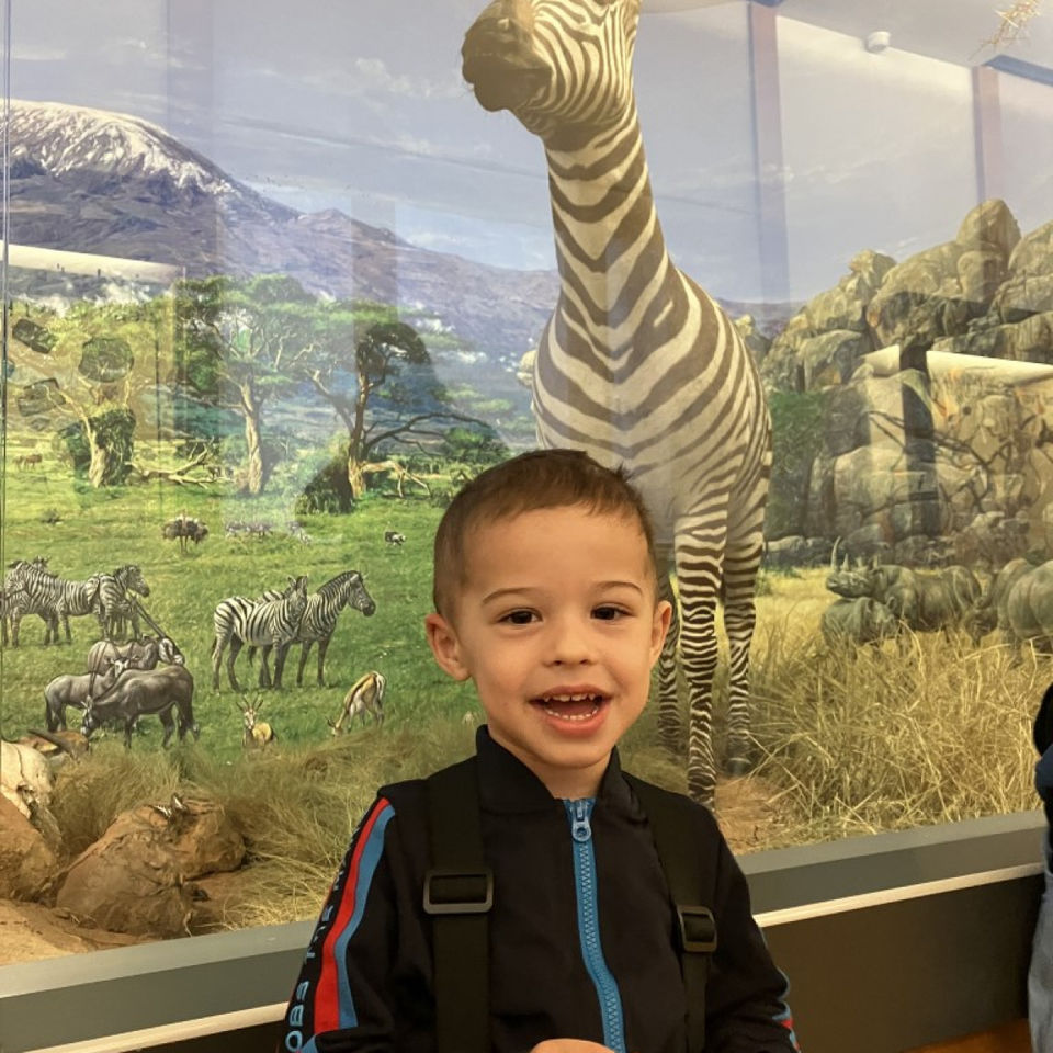 Dinosaur Trip to Museum