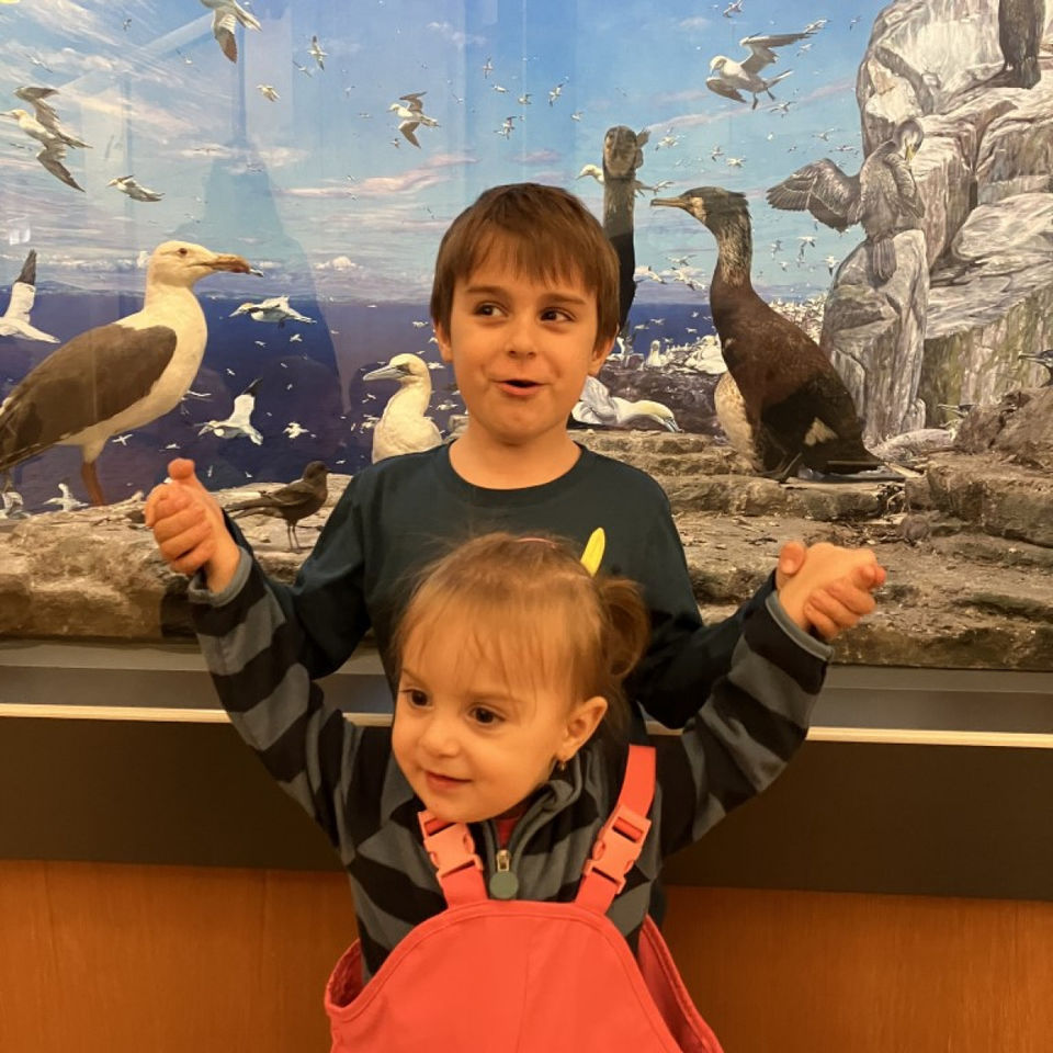 Dinosaur Trip to Museum